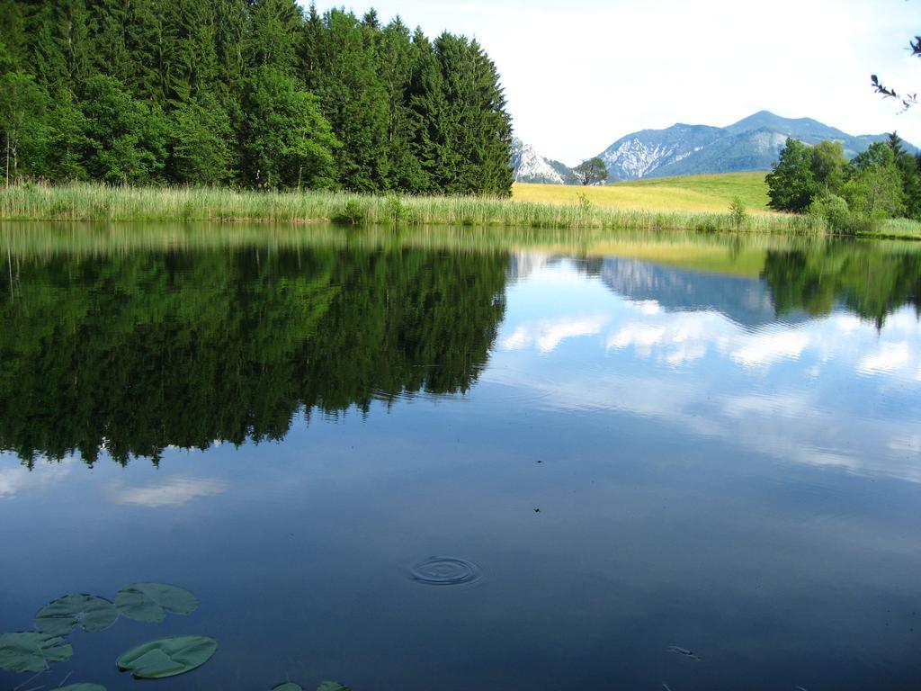 Landgasthof Spitzerwirt Sankt Georgen im Attergau Exteriér fotografie